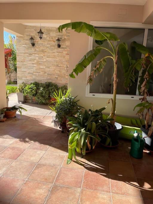 Sea View Studio Kirra Exterior foto